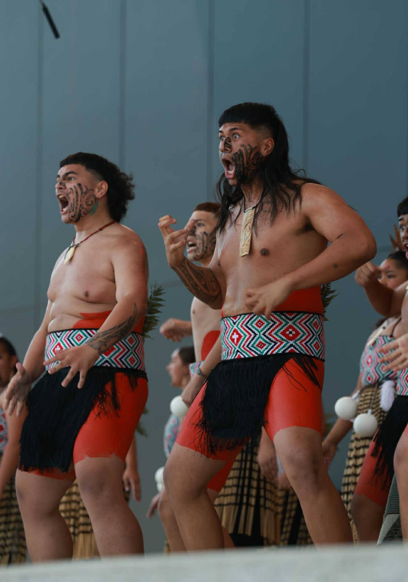 tama-haka3.jpg